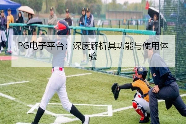 PG电子平台：深度解析其功能与使用体验