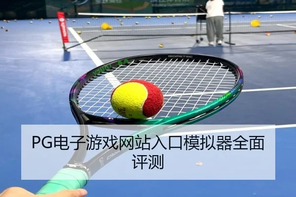 PG电子游戏网站入口模拟器全面评测